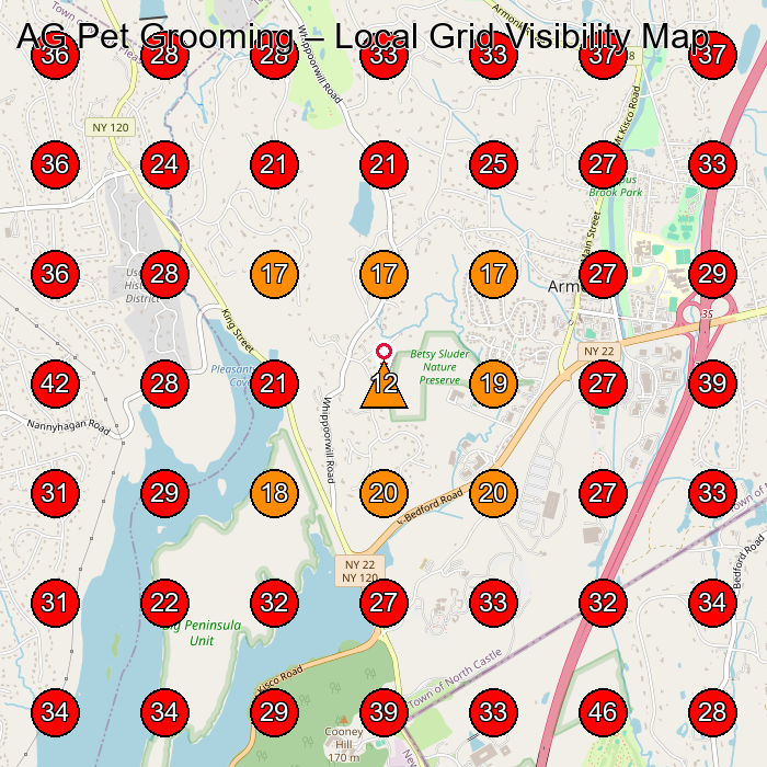 AG Pet Grooming GeoGrid visibility map for Pet Groomer in Mt Kisco